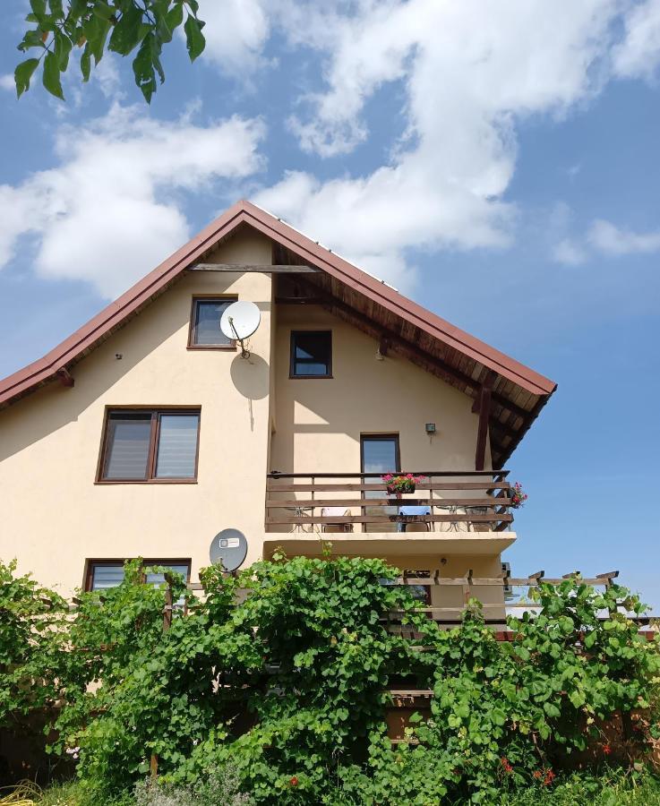 Wynajem Pokoi Wiki Apartamento Mikołajki Exterior foto